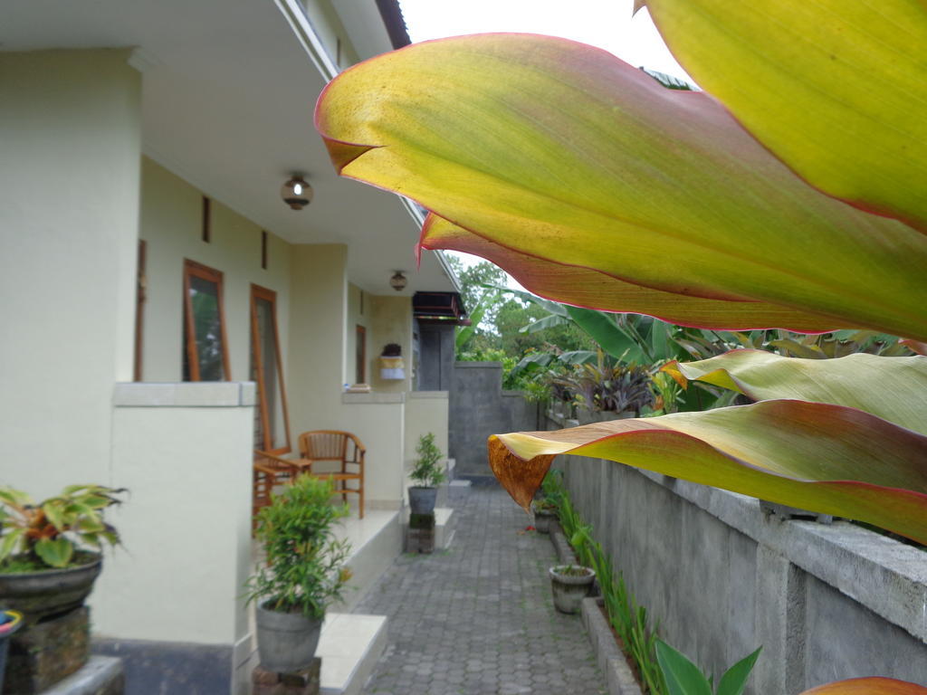 Sintya Homestay Ubud Exterior foto